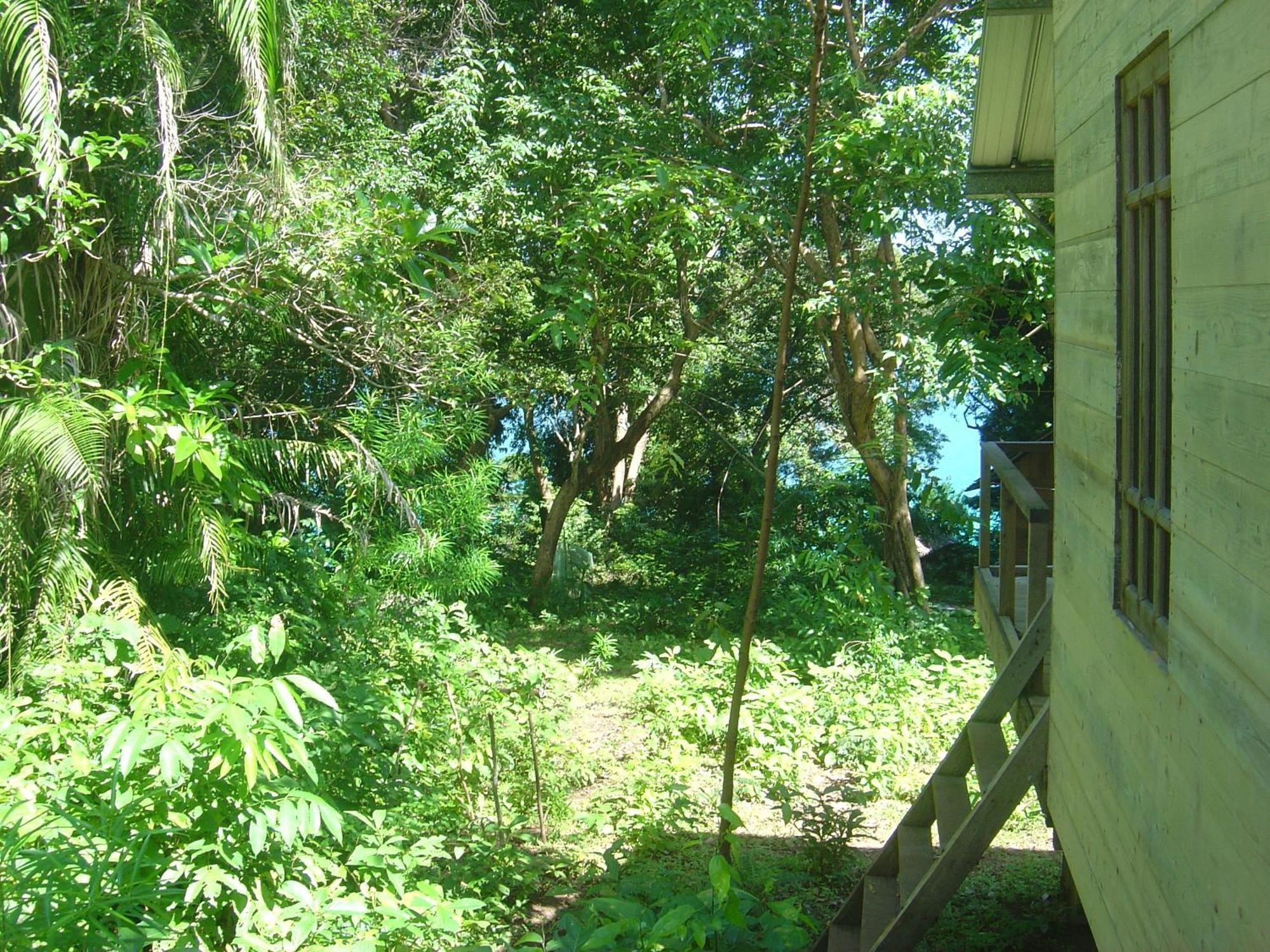 Olala Cafe & Bungalows Sabang  Εξωτερικό φωτογραφία